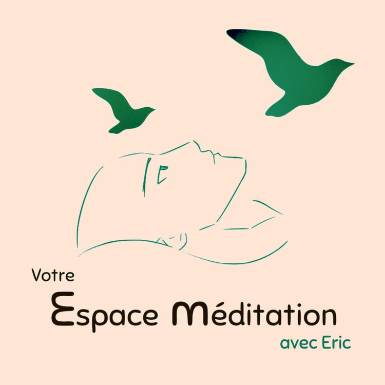 cover art for La puissance de l'acceptation