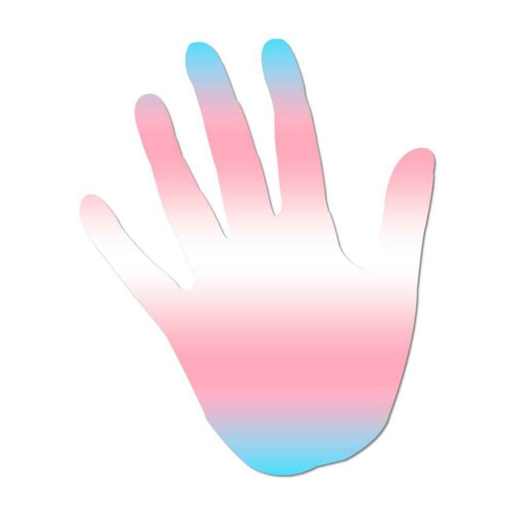 cover art for Capítulo 2: Vida Escolar