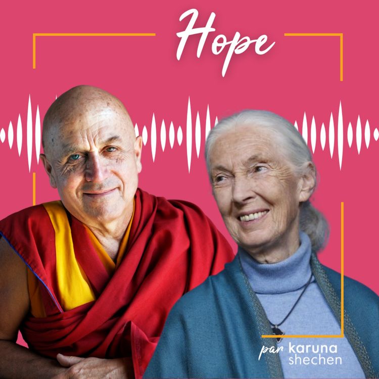 cover art for What if... we were hopeful ?