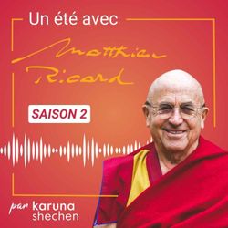 cover art for Un été avec Matthieu Ricard