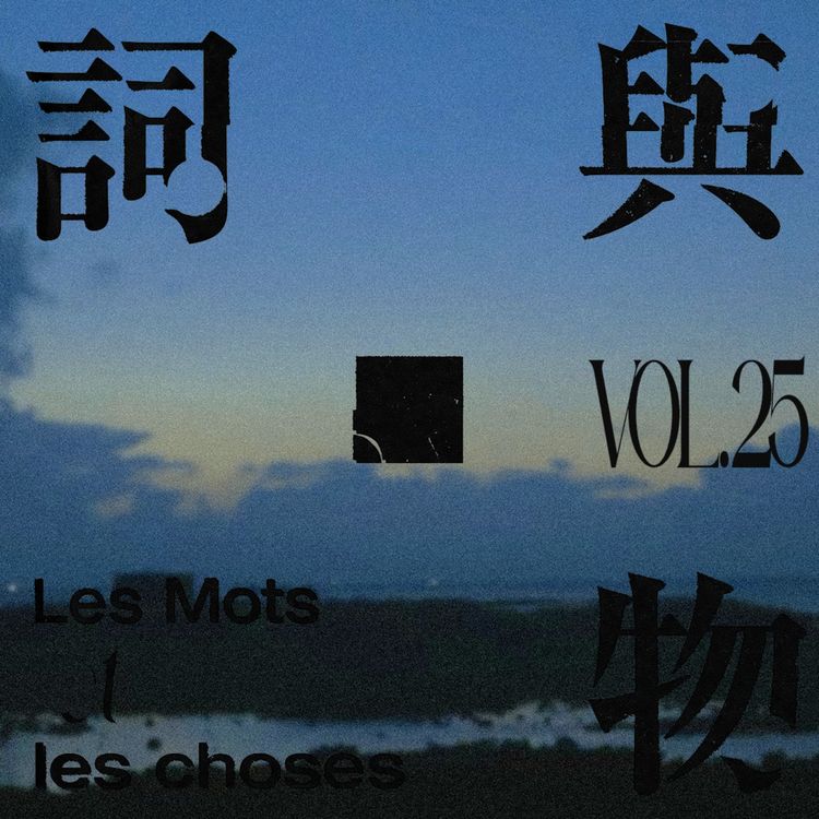 cover art for VOL25.谁的夏天正在好?——韩国女性青年作家部分读后感