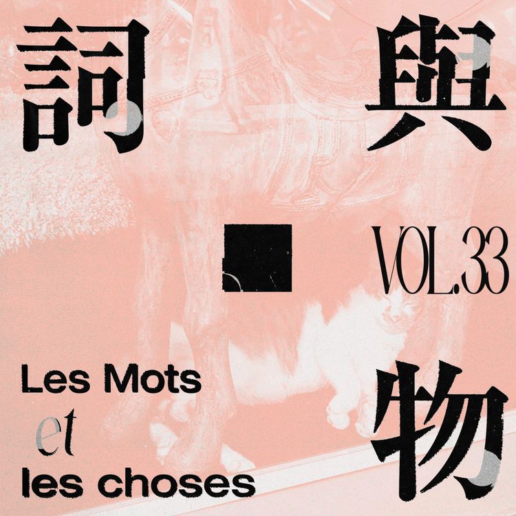 cover art for VOL33.关于猫：除了投喂流浪猫，我们还能做什么？