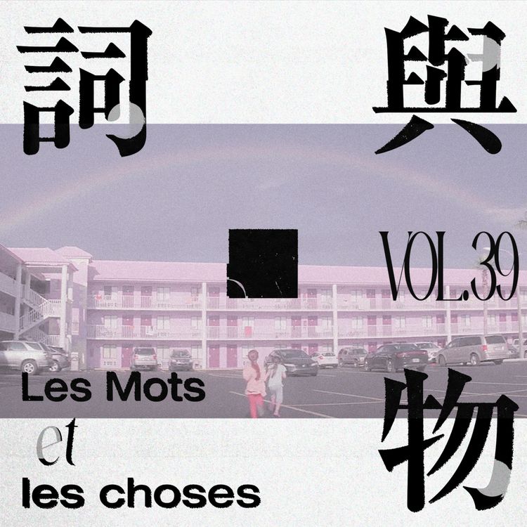 cover art for VOL39.想象的“离线以后”：社媒禁令与那些被遗忘的