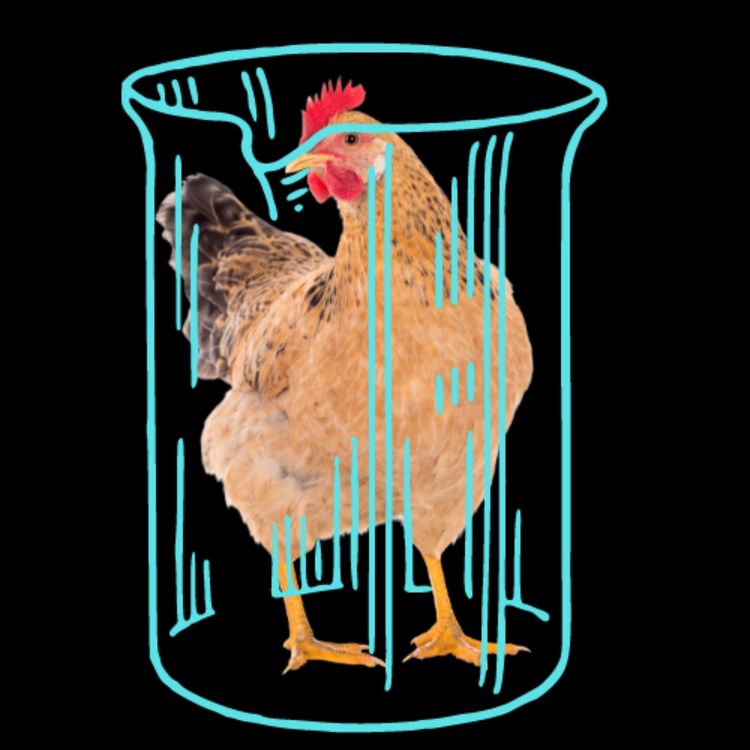 cover art for Nice to Meat You