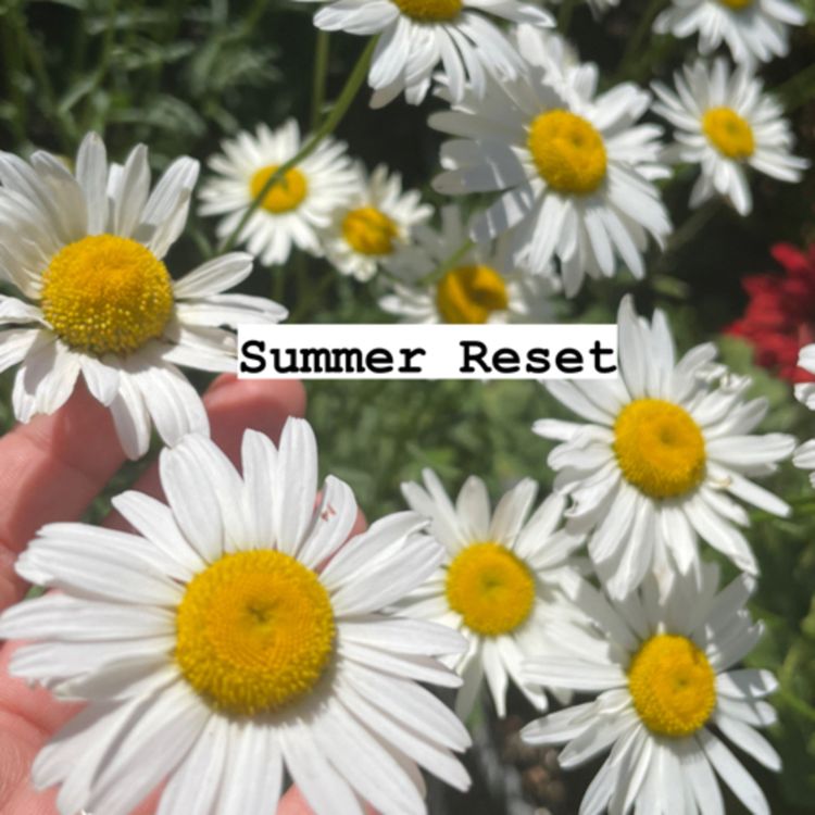 cover art for Reset de Verano. Recomenzar ☀️