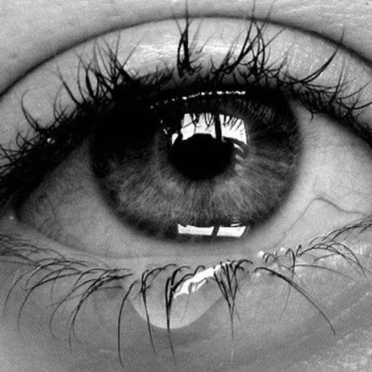 cover art for #13 Qué son las emociones? Para qué sirven?Cómo gestionarlas?