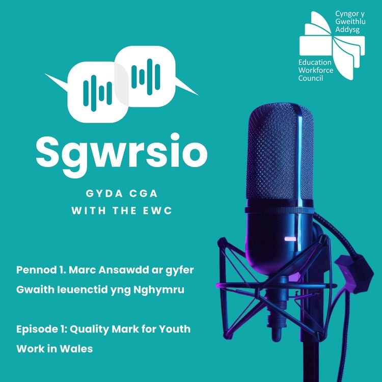 cover art for Sgwrsio with the EWC: The Quality Mark for Youth Work in Wales (QMYW)