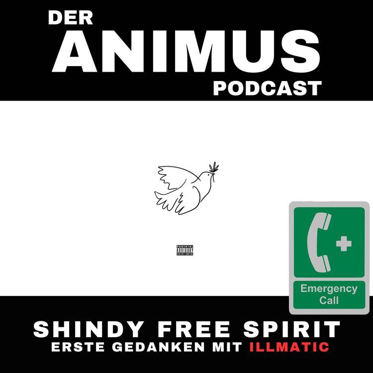 cover art for #140 SHINDY FREE SPIRIT, ERSTE GEDANKEN ZU DEM DISSTRACK MIT ILLMATIC (EMERGANCY CALL)