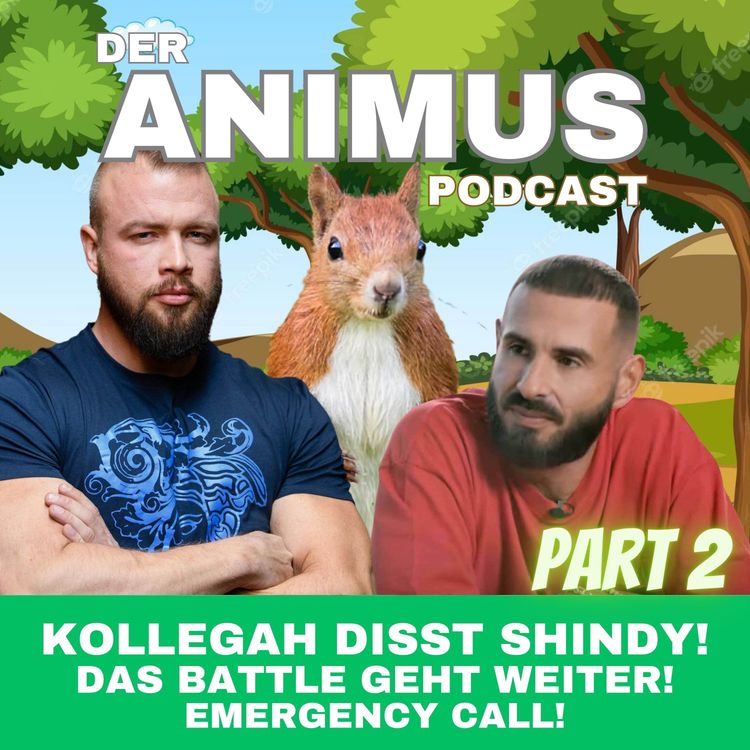 cover art for #153 WAS KANN SHINDY TUN UM DAS BATTLE ZU GEWINNEN?? EMERGENCY CALL! PART 2