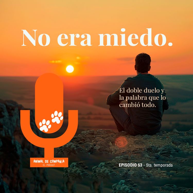 cover art for No era miedo...