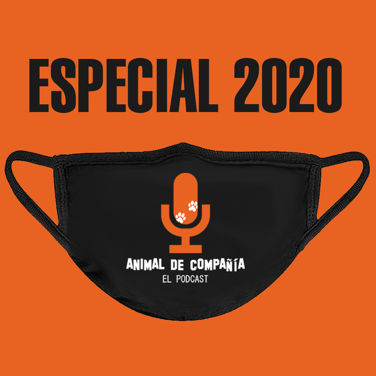 cover art for S3 Ep47: Especial 2020 - Último Episodio del año