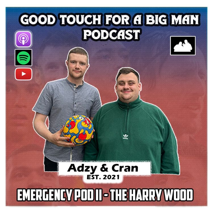 cover art for Emergency Podcast II - The Harry Wood