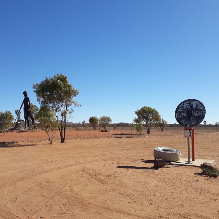 cover art for The Dish