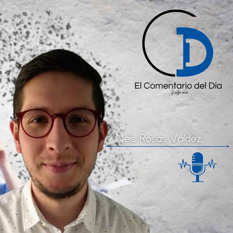 cover art for Niels Rosas Valdez | Discurso insuficiente