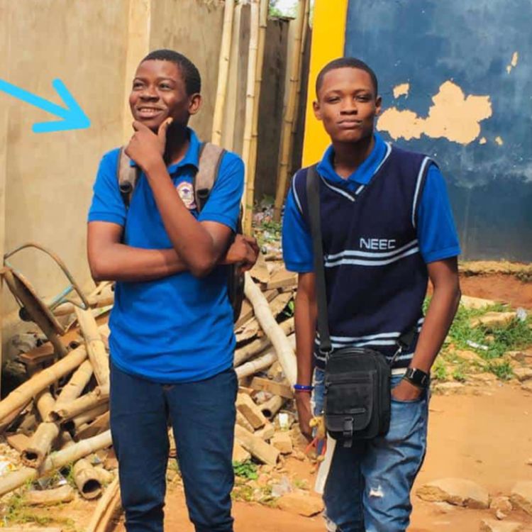 cover art for I chose the wrong pal