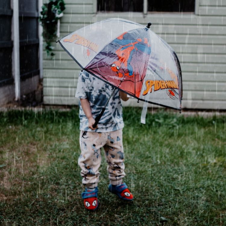 cover art for I cannot condone it