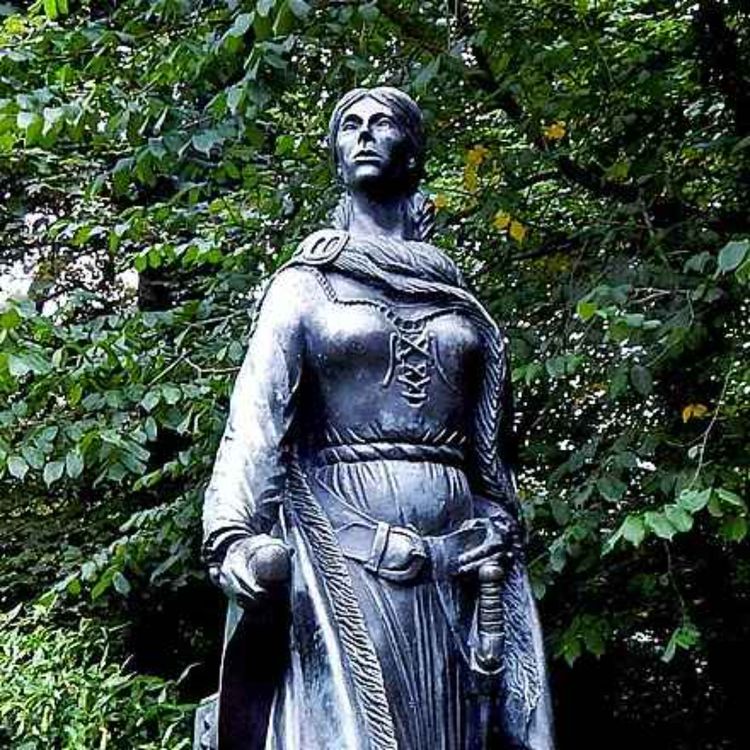 cover art for The Pirate Queen of Ireland