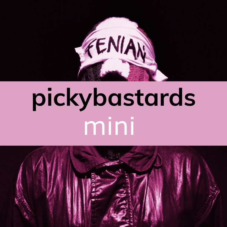 cover art for Picky Bastards Podcast Mini - Fenian, Kneecap