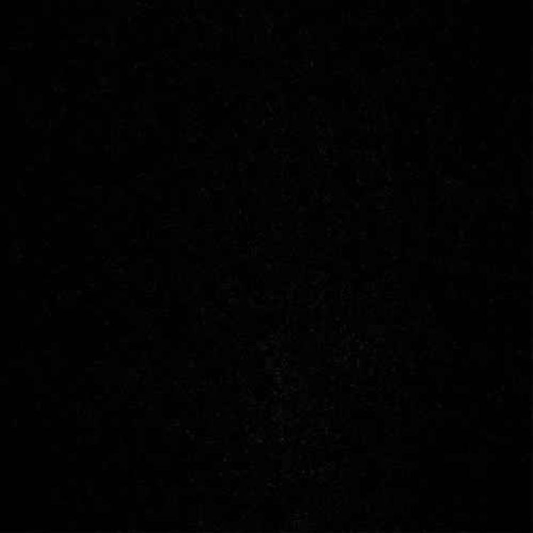 cover art for Meine Vorfahren, Tante Minna, Pilsen - Plzeň