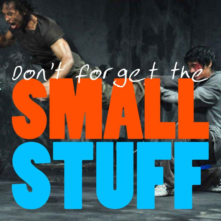 cover art for 12 - The Raid