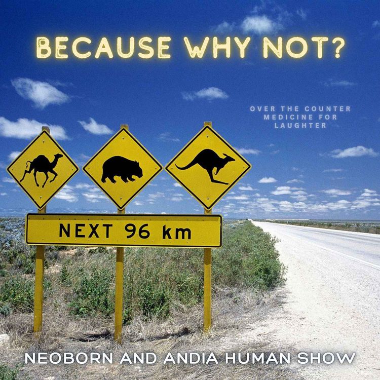 cover art for Because Why Not