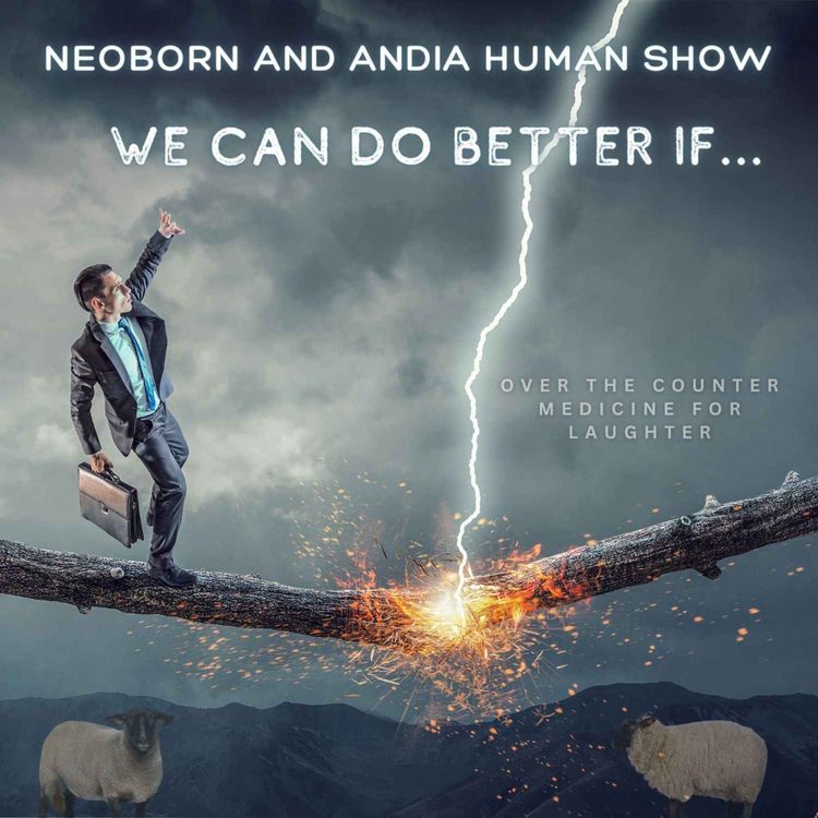 cover art for We Can Do Better If...