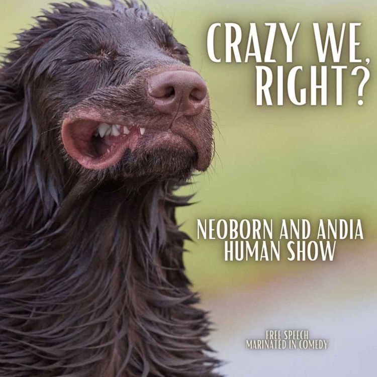 cover art for Crazy We, Right?