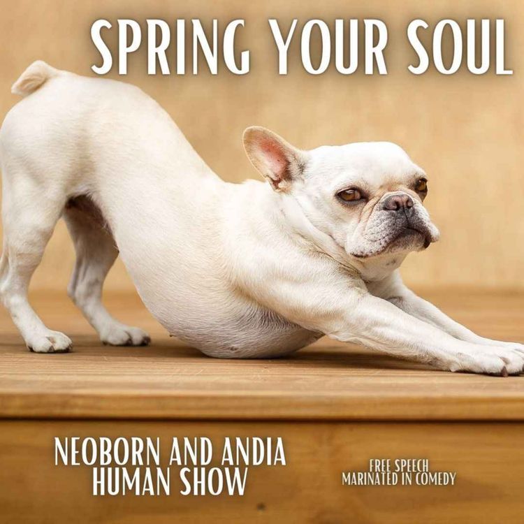 cover art for Spring Your Soul