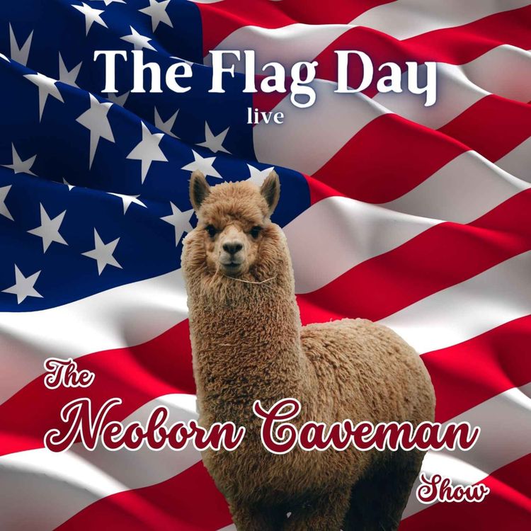 cover art for The Flag Day (live radio replay)