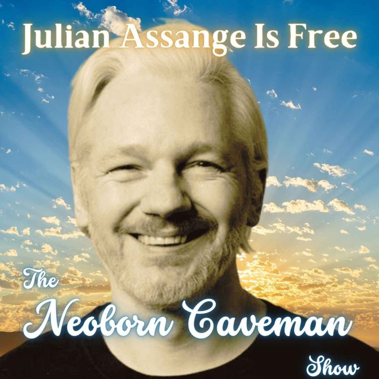 cover art for Julian Assange Is Free