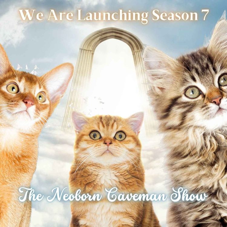 cover art for We Are Launching Season 7