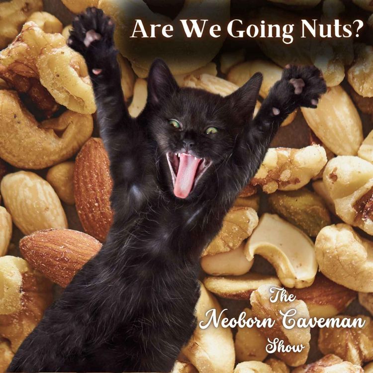 cover art for Are We Going Nuts?