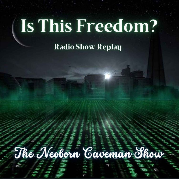 cover art for Is This Freedom?