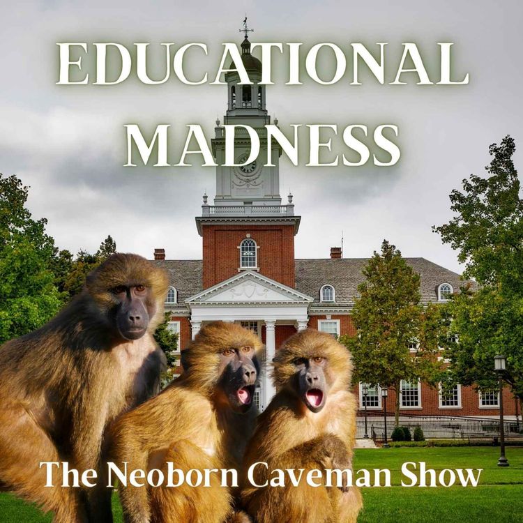 cover art for Educational Madness