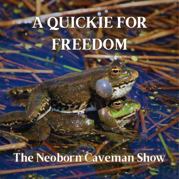 cover art for A Quickie for Freedom