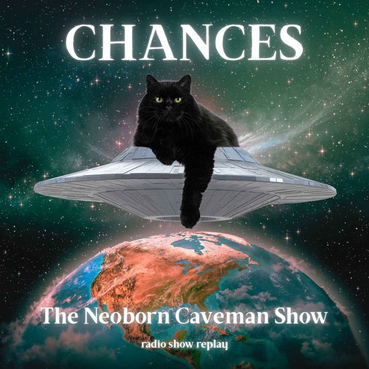 cover art for Chances (radio show replay)