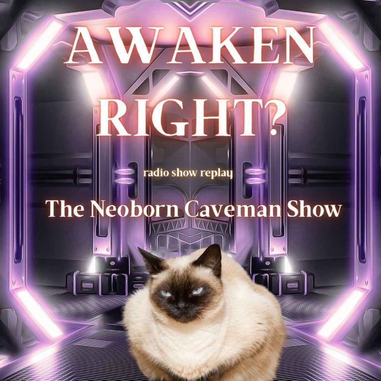 cover art for Awaken Right? (radio show replay)