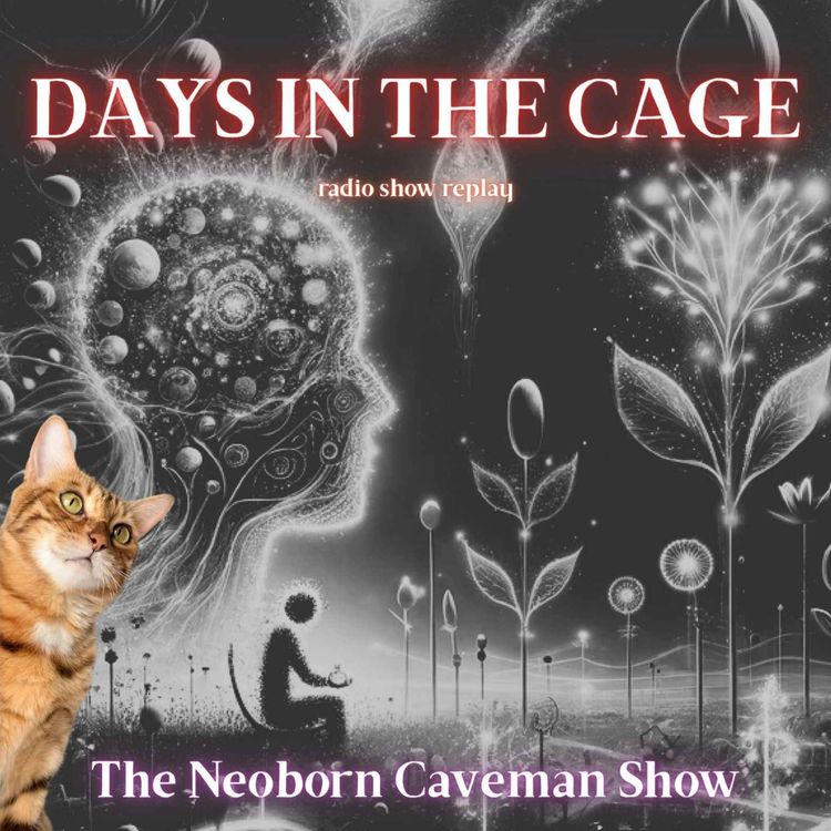cover art for Days in the Cage (radio show replay)