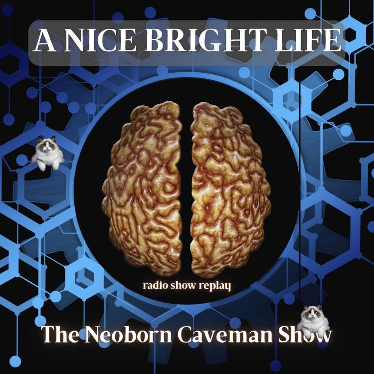 cover art for A Nice Bright Life (radio show replay)