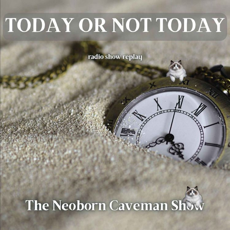 cover art for Today Or Not Today (radio show replay)