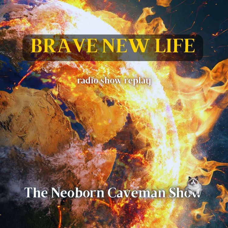 cover art for Brave New Life (radio show replay)