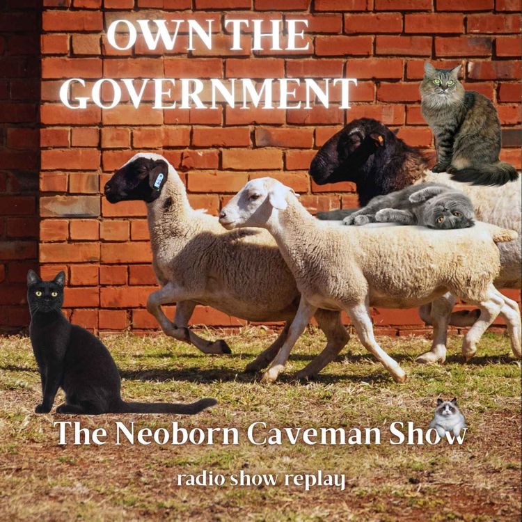 cover art for Own The Government (radio show replay)