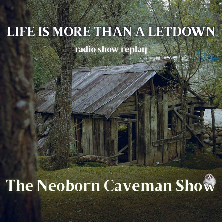cover art for Life is More Than a Letdown (radio show replay)