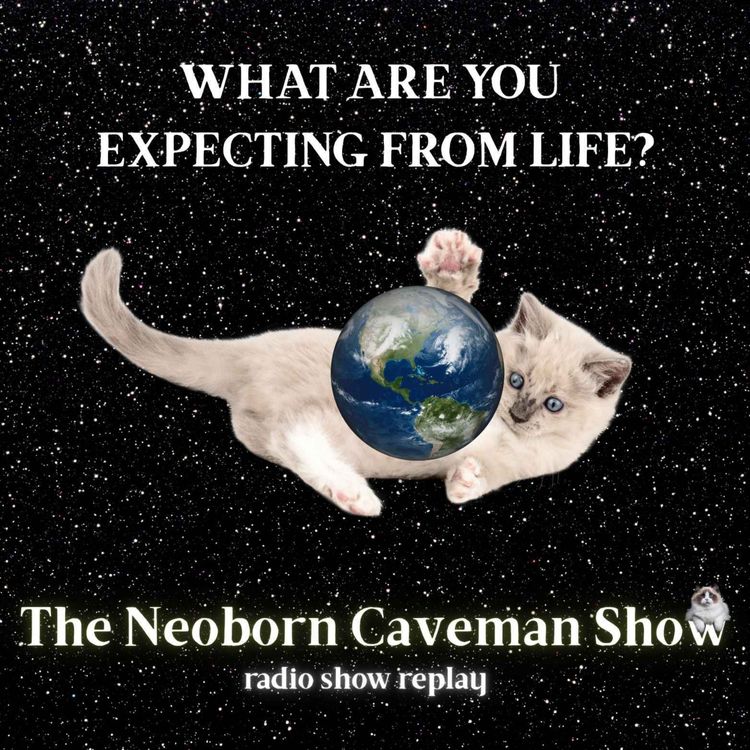 cover art for What Are You Expecting from Life? (radio show replay)