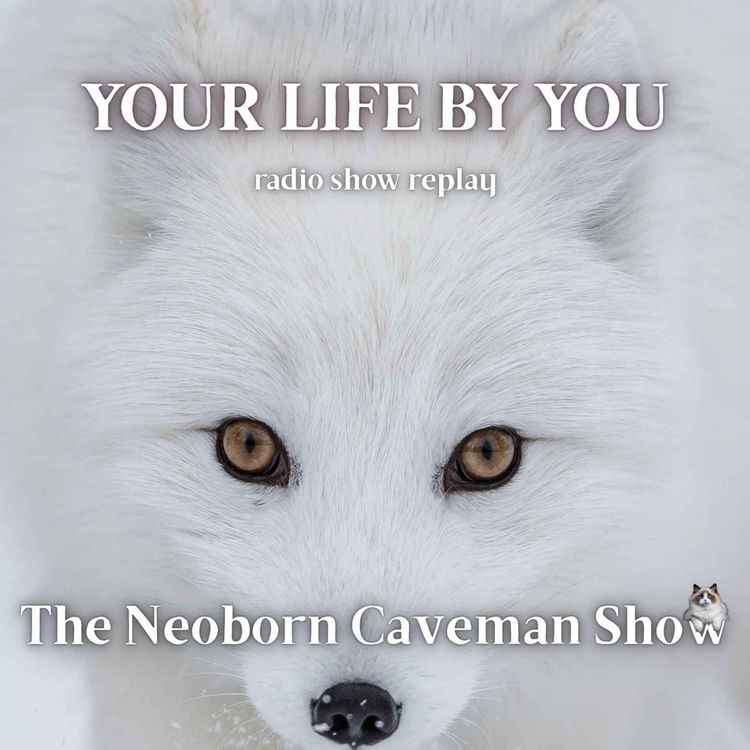 cover art for Your Story by You (radio show replay)