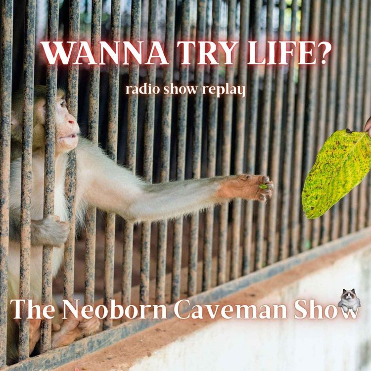 cover art for You Wanna Try Life? (radio show replay)