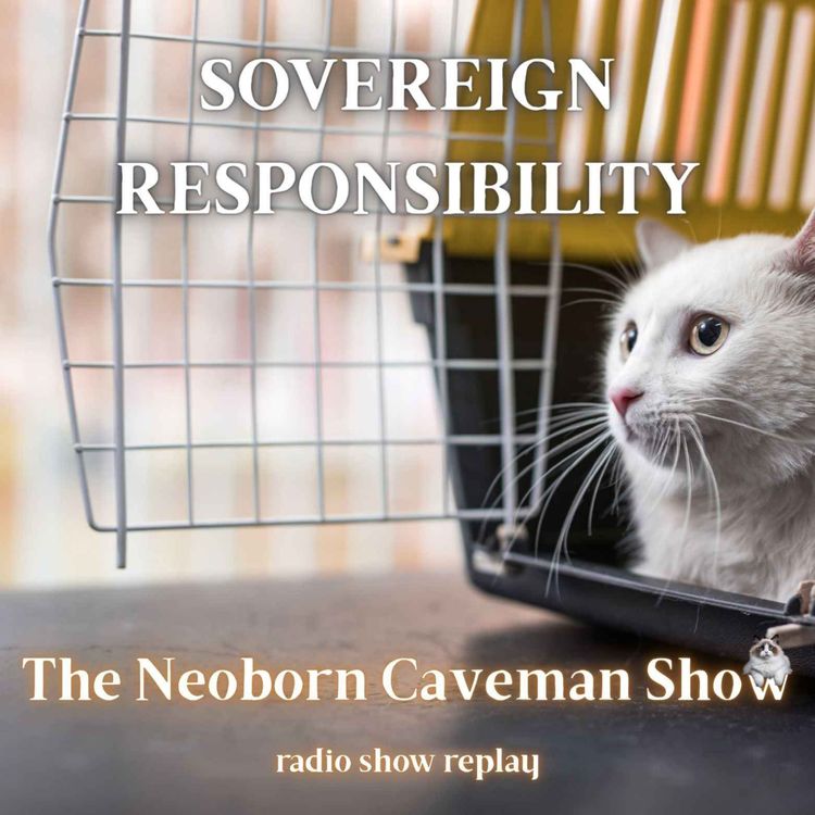 cover art for Sovereign Responsibility (radio show replay)