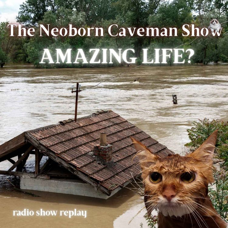cover art for Amazing Life? (radio show replay)