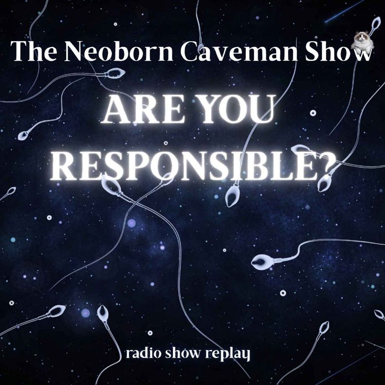 cover art for Are You Responsible? (radio show replay)