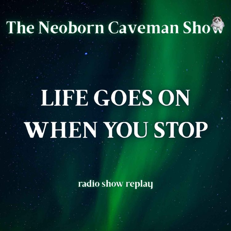 cover art for Life Goes On When You Stop (radio show replay)